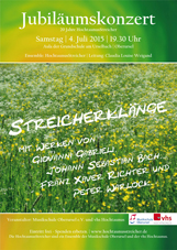 20 Jahre HochtaunusStreicher 20 Jahre HochtaunusStreicher